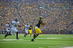 Roy Roundtree catch university of michigan football vs. northwestern 2012 at the big house in ann arbor